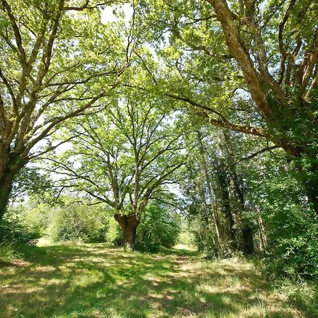 Domaine La Faix, La Chouette キャンプ場 *